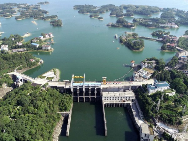 长江水利委员会陆水水库白蚁防治