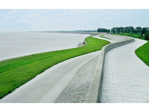 浙江省钱塘江海塘堤坝白蚁防治