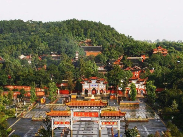 四川遂宁广德寺白蚁防治